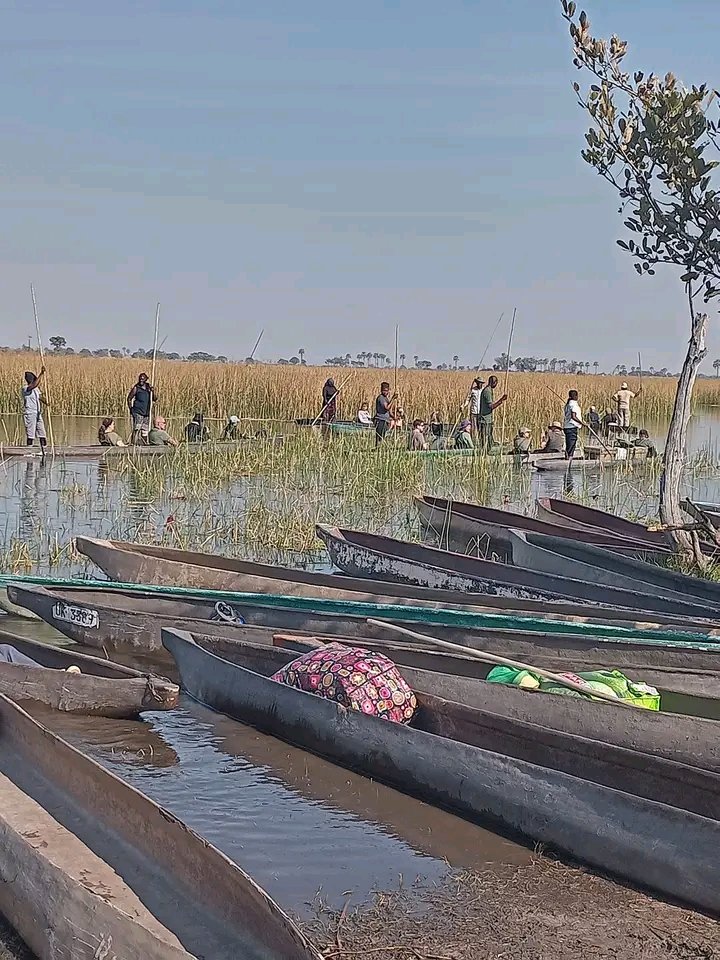 mokoro camping safari in the okavango delta