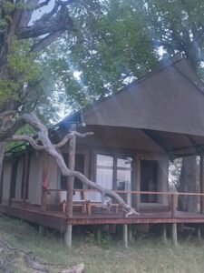 unveiling eden of delta