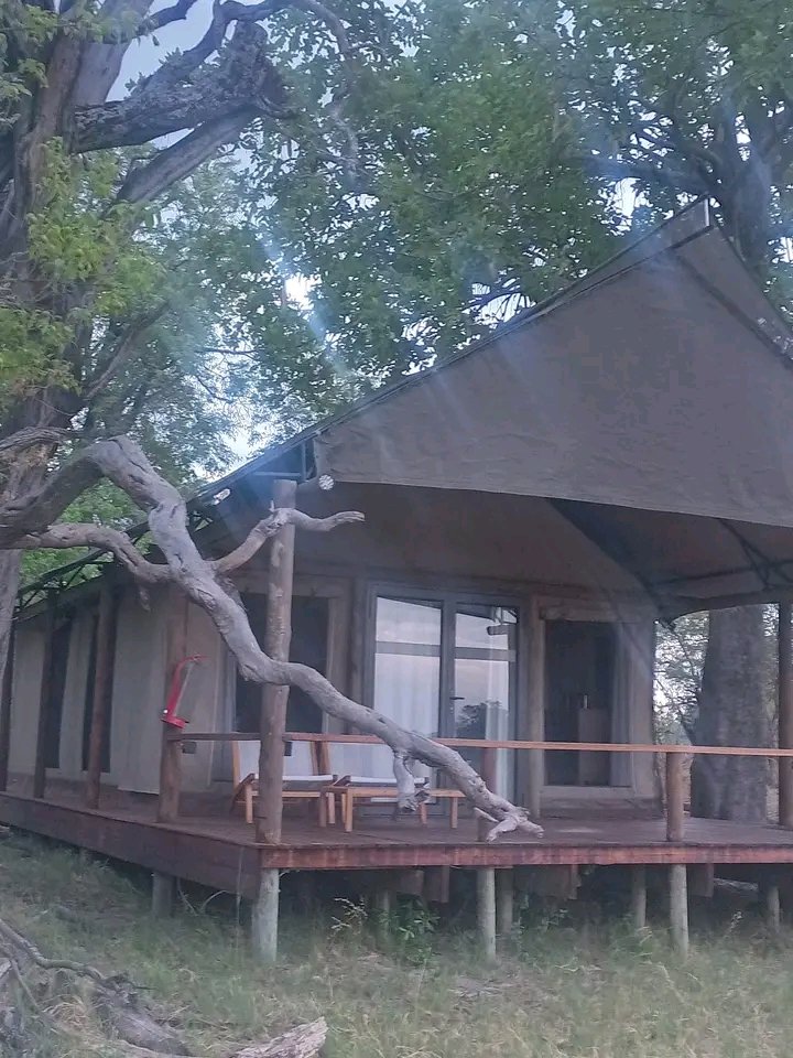 unveiling eden of delta